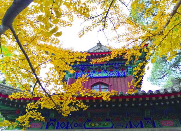 QQ截图20201116092715.png