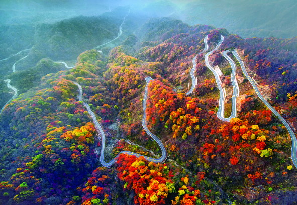 QQ截图20211108152816.png