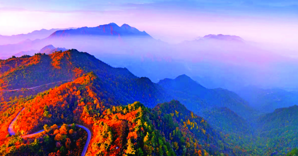 QQ截图20211108152857.png