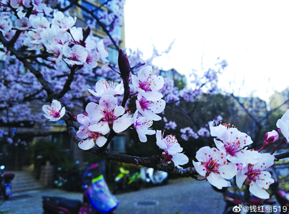 QQ截图20220321101316.png