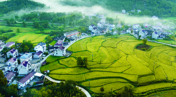 QQ截图20220926153229.png