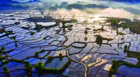 QQ截图20220926153235.png