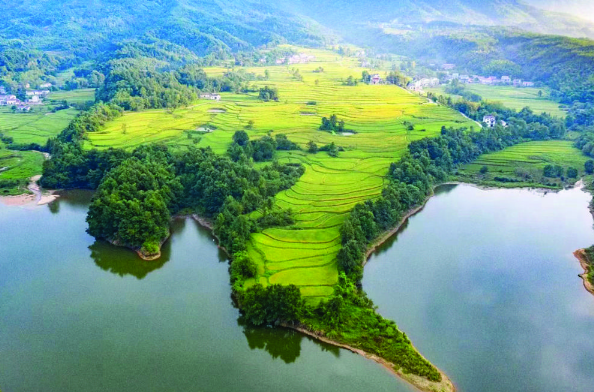 QQ截图20220926153329.png