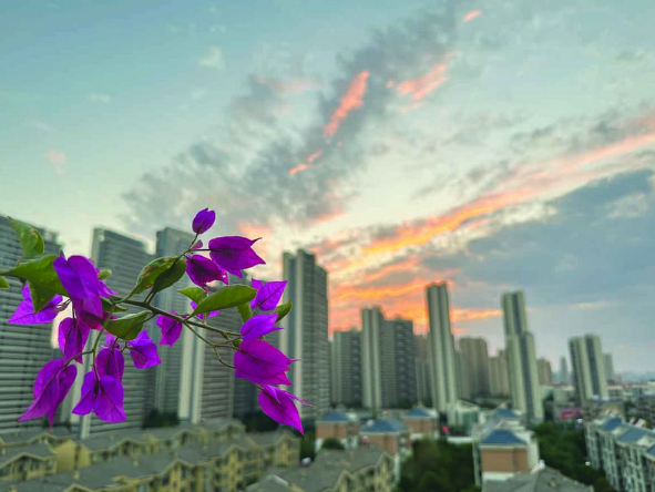 QQ截图20221008093917.png