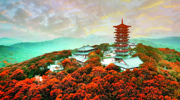 QQ截图20221114102241.png
