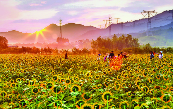 QQ截图20221121095448.png