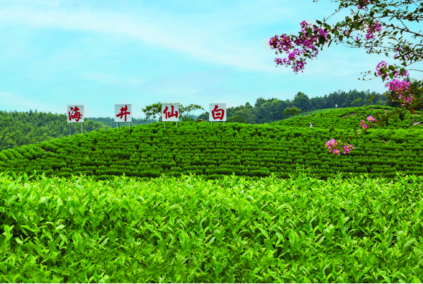 QQ截图20221121095454.png