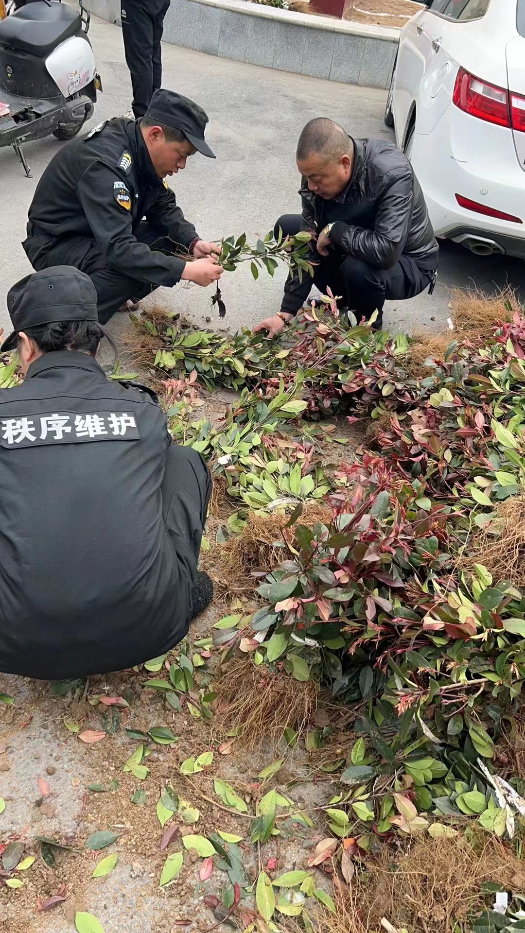1微信图片_20230320084809.jpg