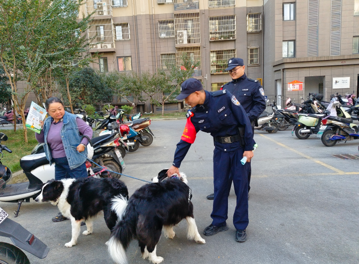 截图20231023113146.png