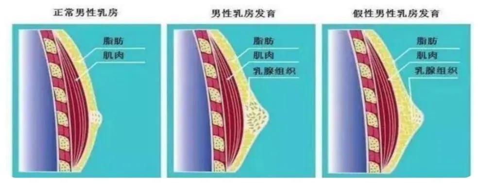 微信图片_20240729163729.jpg