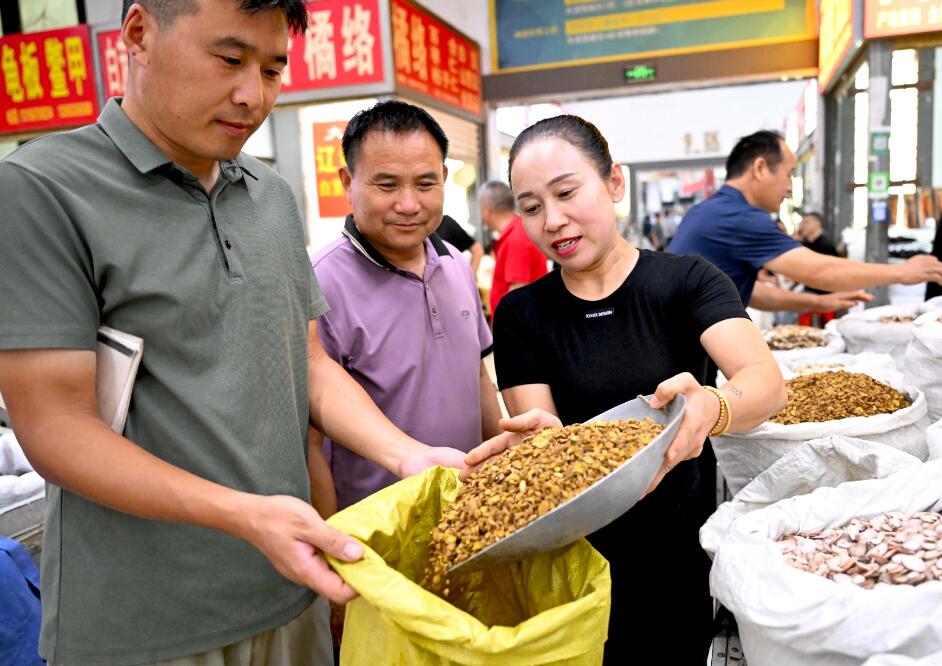 1725865025051030000.jpg QQ截图20240909143838.jpg
