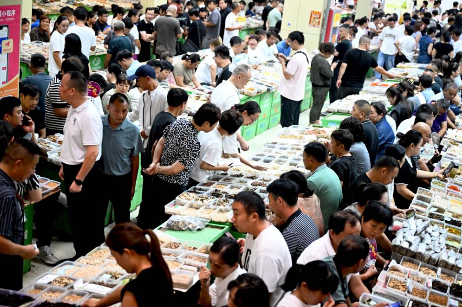 1725865030300011361.jpg QQ截图20240909143849.jpg
