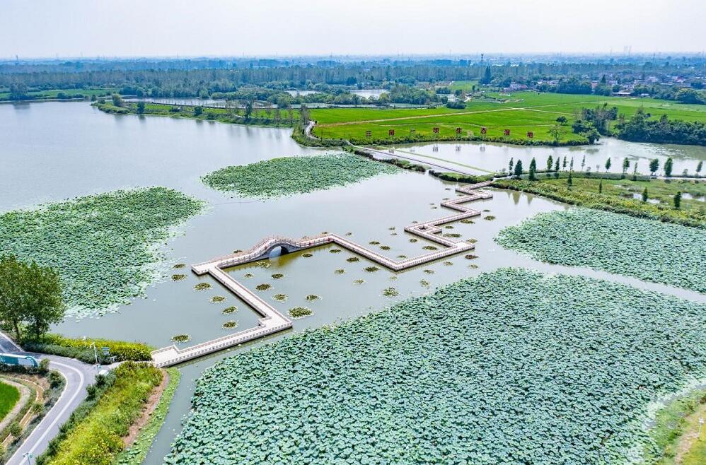 QQ截图20240925155217.jpg