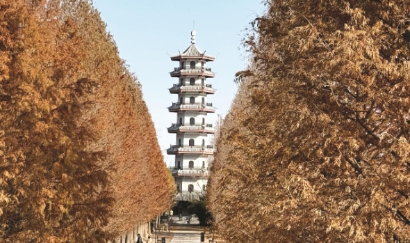 微信截图_20250208090937.png