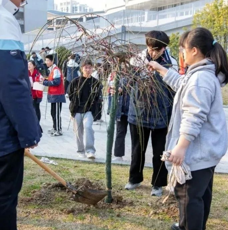 微信图片_20250313125536.png