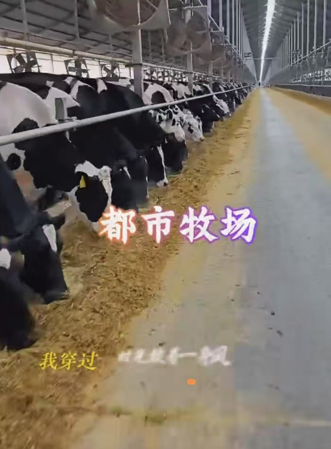 微信图片_20250403141501.png