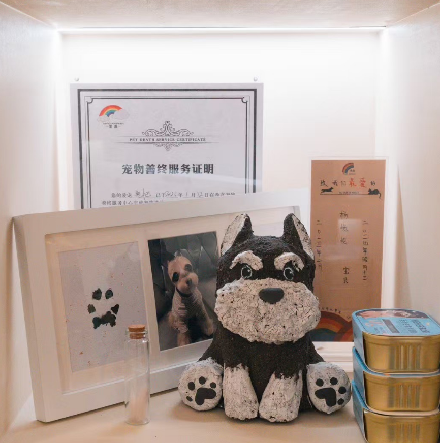 微信图片_20250403185521.png
