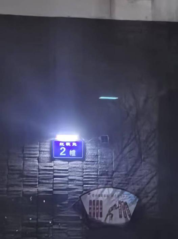 202504101313166631945194.png