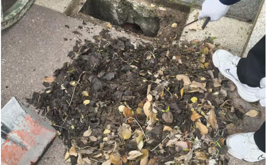 1775821676893021794.png 微信图片_2026-04-10_194940_246.png