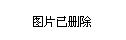 保险